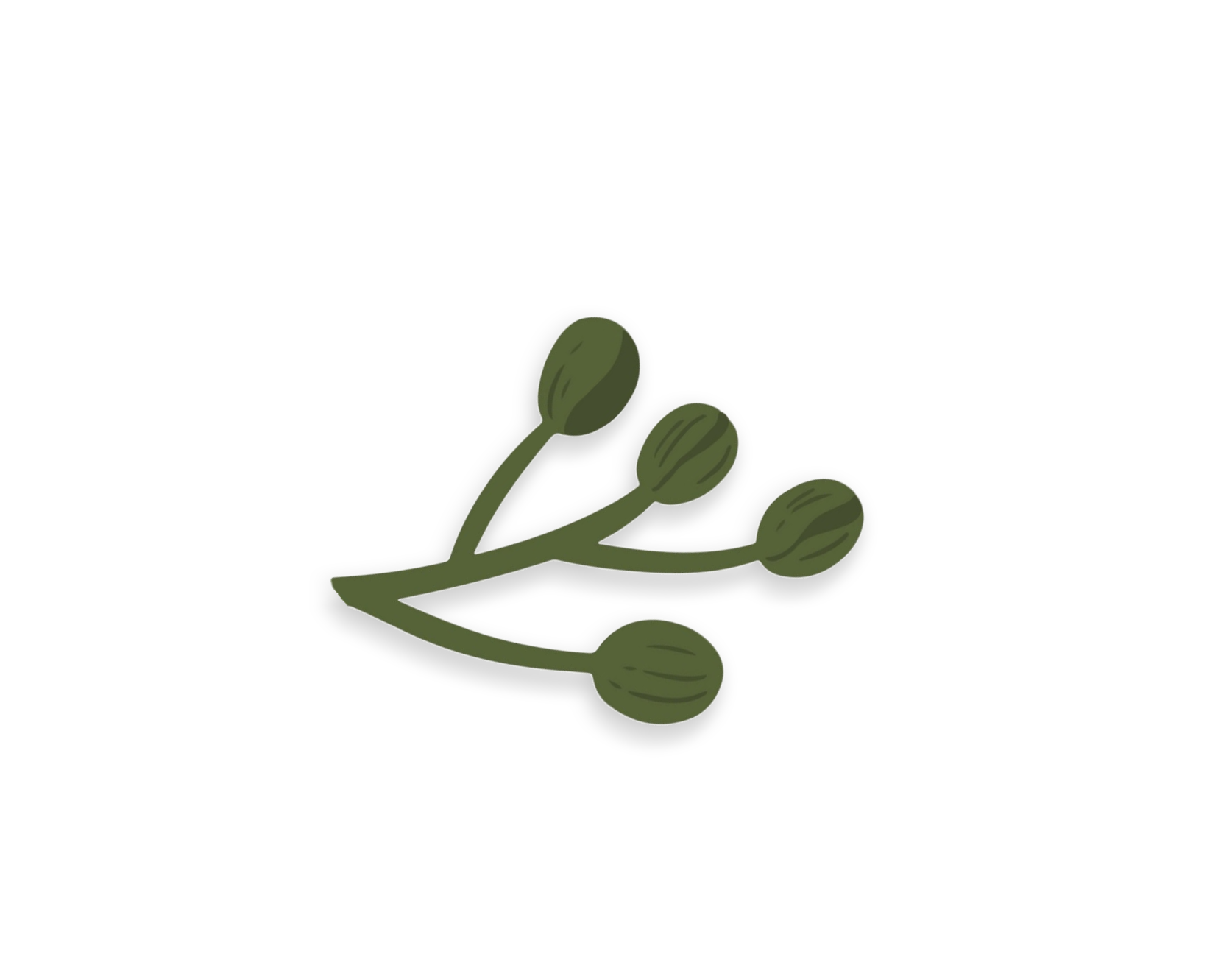 Section divider olive branch